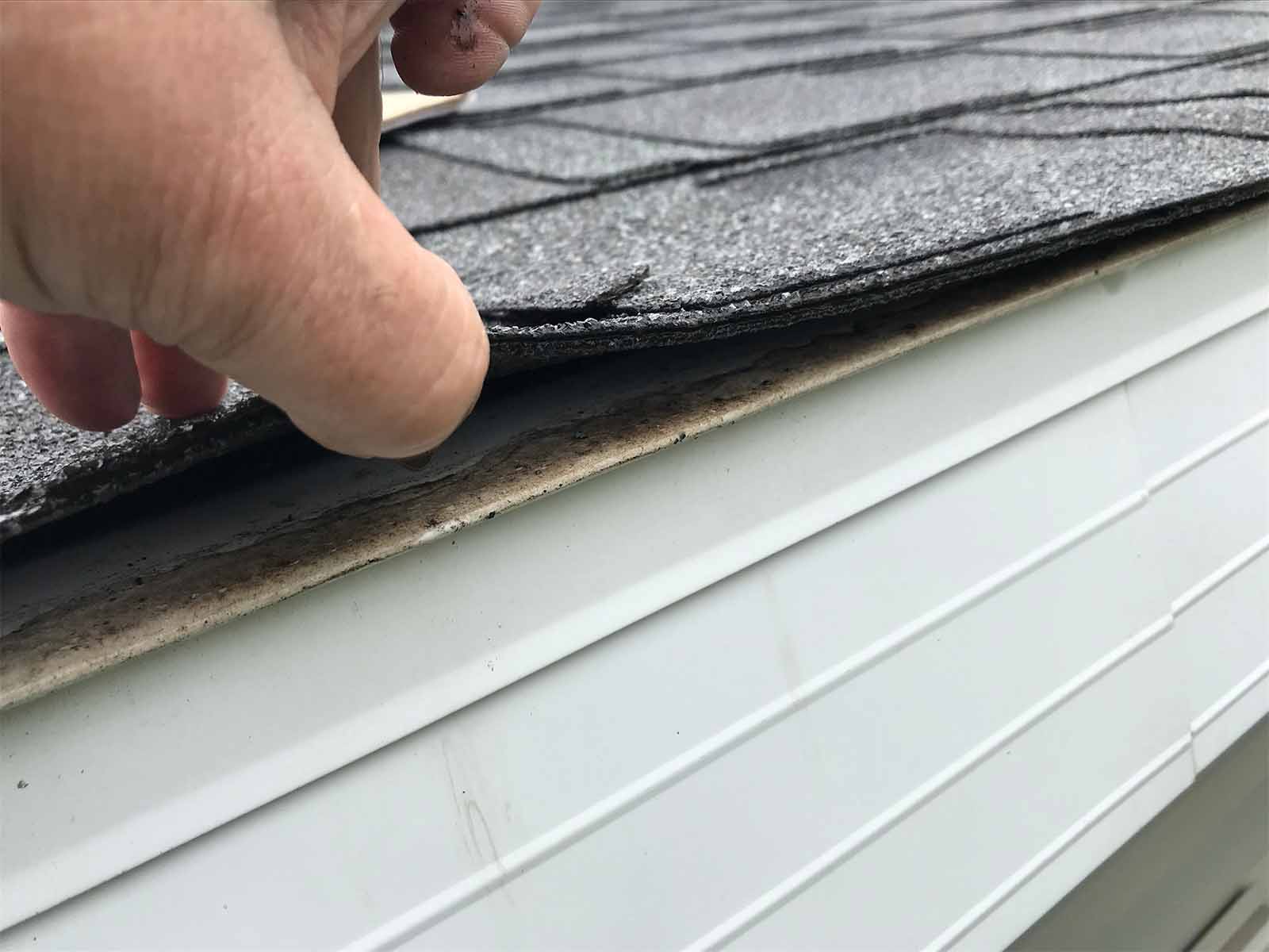 Top Signs It's Time for a Roof Replacement for Your Houston Home